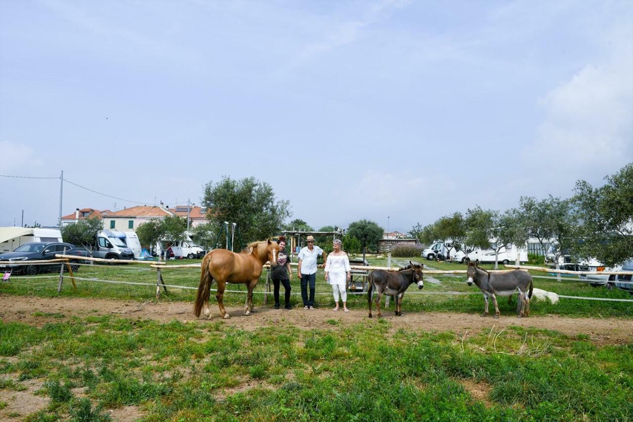 Pensjonat Casa Zafferano Albenga Zewnętrze zdjęcie